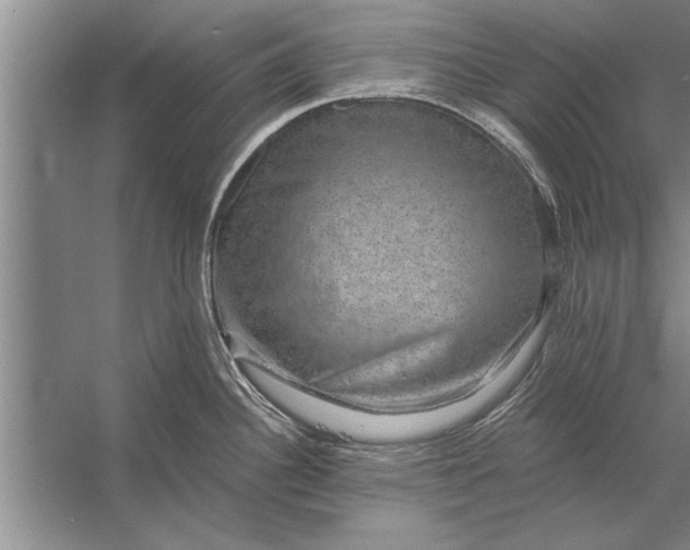 X0000056371340200509161844