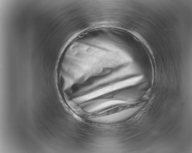 X0000056371341200509161844