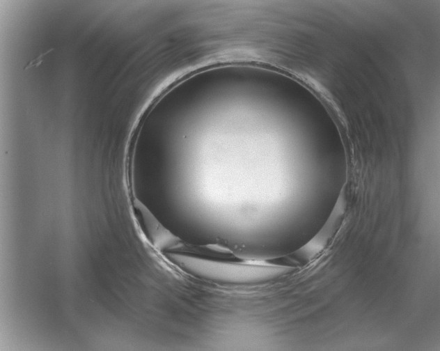 X0000056371342200509161844