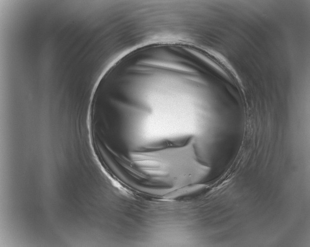 X0000056371343200509161844