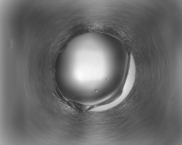 X0000056371345200509161844