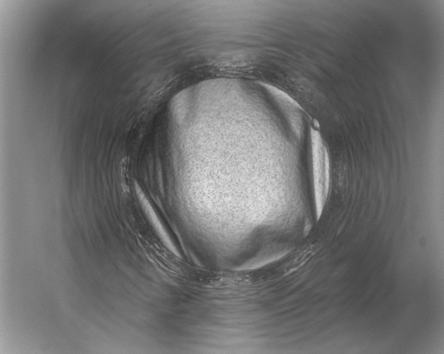 X0000056371346200509161844