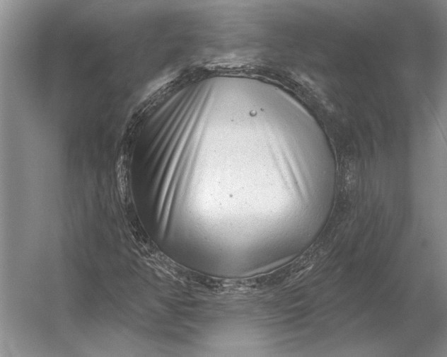 X0000056371350200509161843