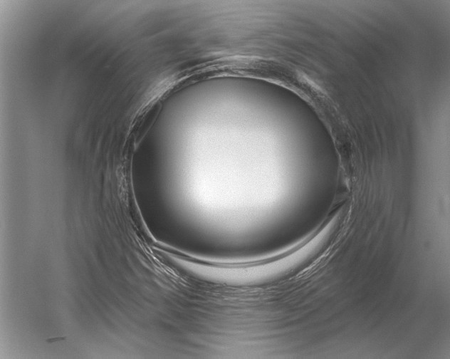 X0000056371354200509161843