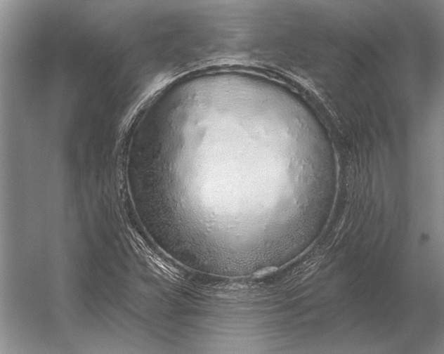 X0000056371359200509161843