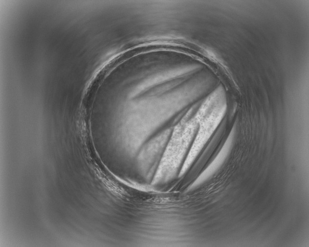 X0000056371360200509161843