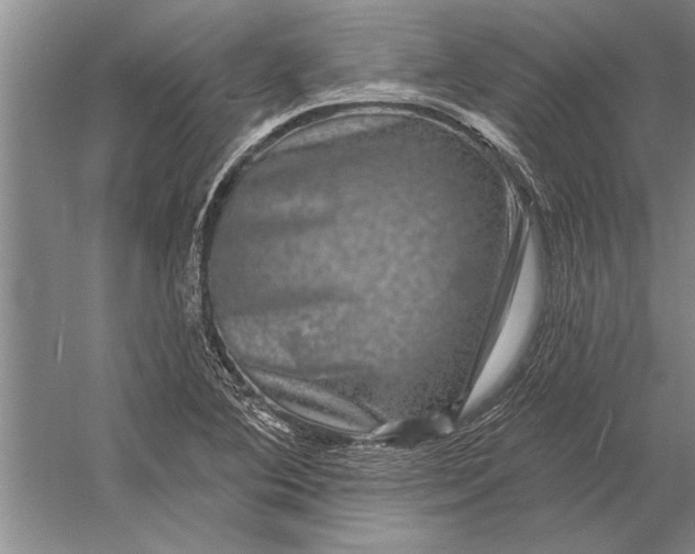 X0000056371364200509161843