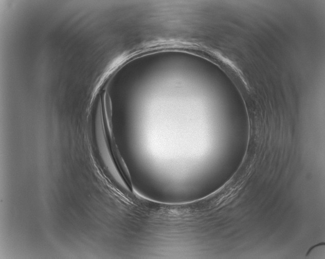 X0000056371365200509161843