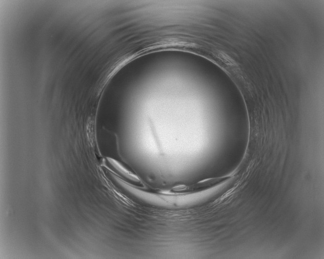 X0000056371369200509161843