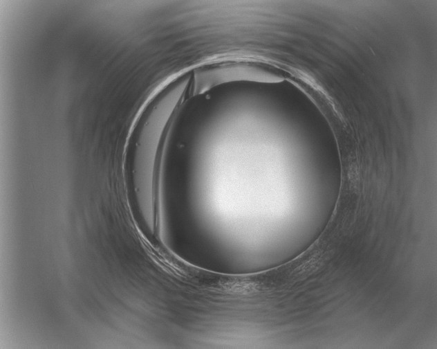 X0000056371372200509161843