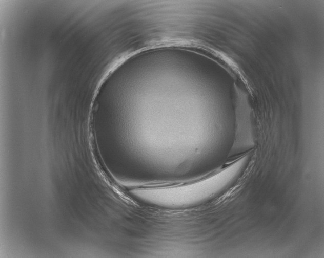 X0000056371373200509161843