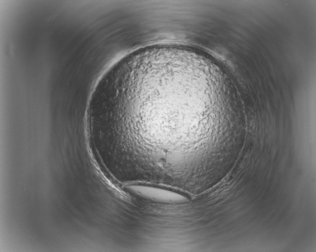 X0000056371375200509161843