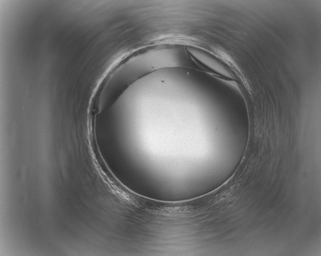 X0000056371376200509161843