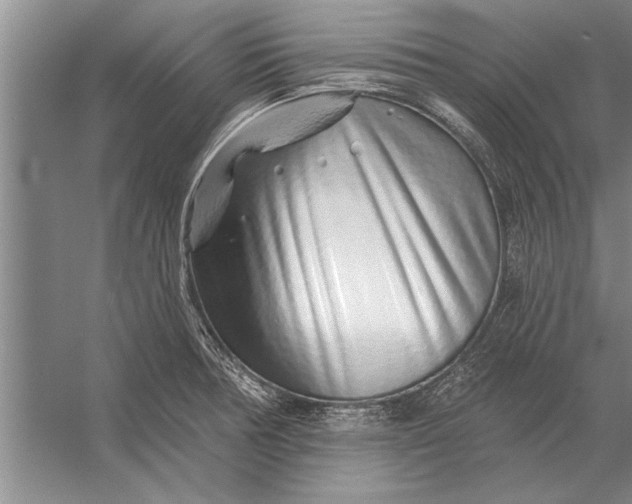 X0000056371378200509161843