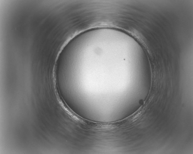 X0000056371382200509161843