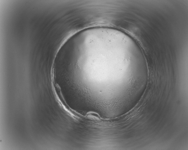 X0000056371383200509161843