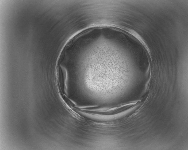 X0000056371388200509161843