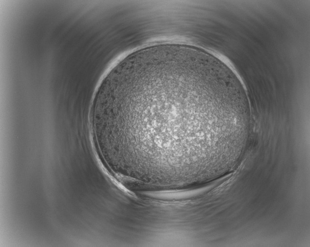 X0000056371389200509161843