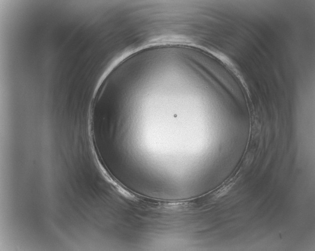 X0000056371390200509161843