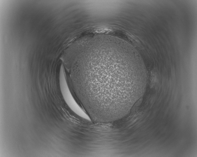 X0000056371394200509161842