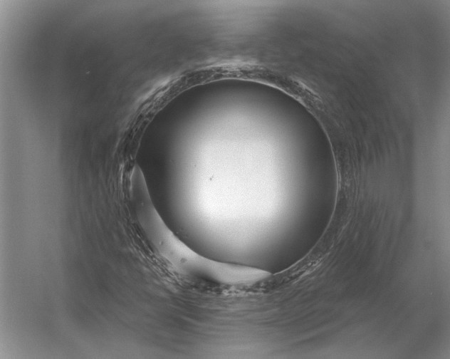 X0000056371398200509161842