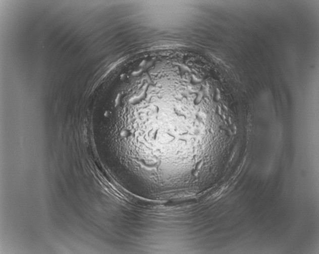 X0000056371401200509161842