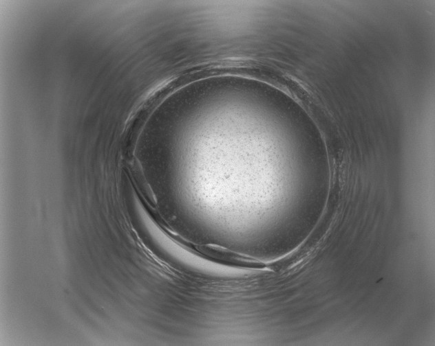 X0000056371402200509161842