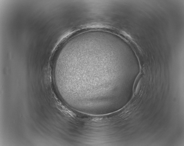 X0000056371408200509161842