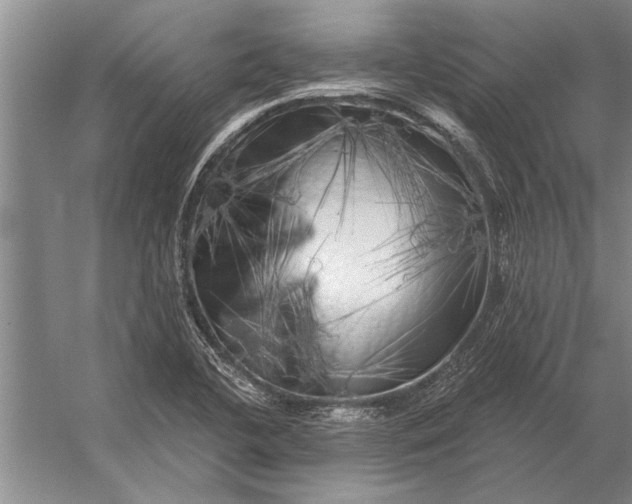 X0000056371412200509161842