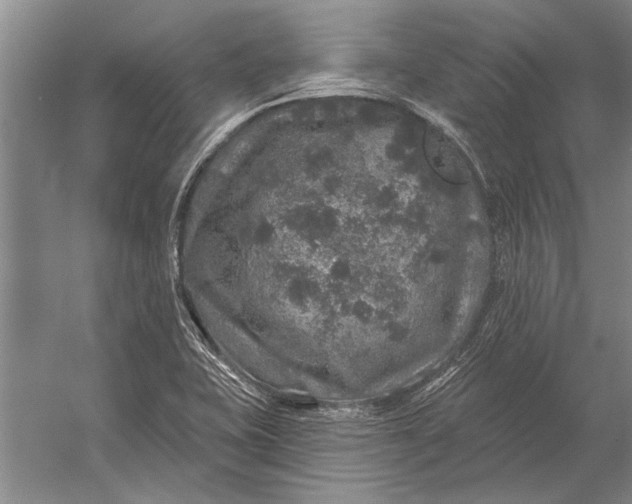 X0000056371415200509161842