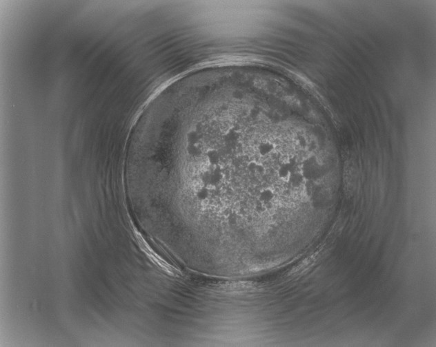 X0000056371417200509161842