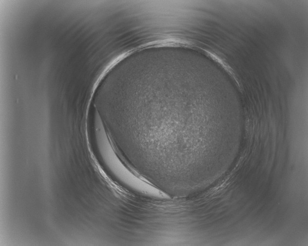 X0000056371418200509161842