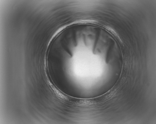 X0000056371420200509161842