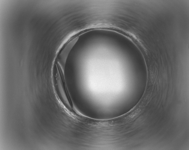 X0000056371422200509161842