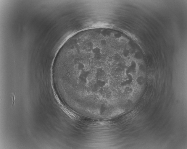 X0000056371423200509161842