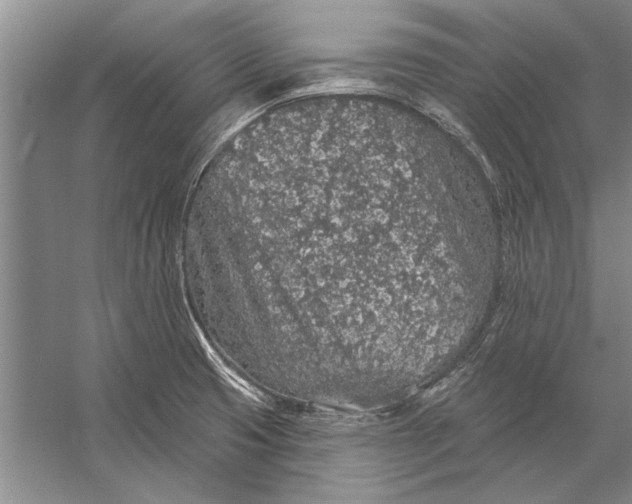 X0000056371425200509161842