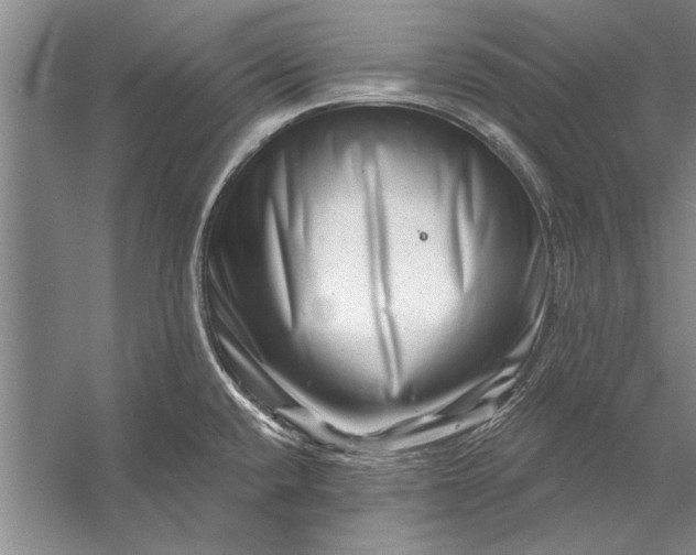 X0000056371432200509161843