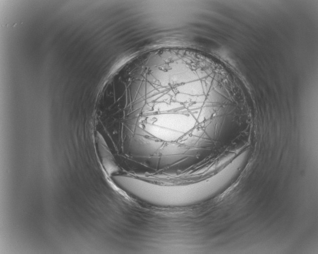 X0000056371433200509161843