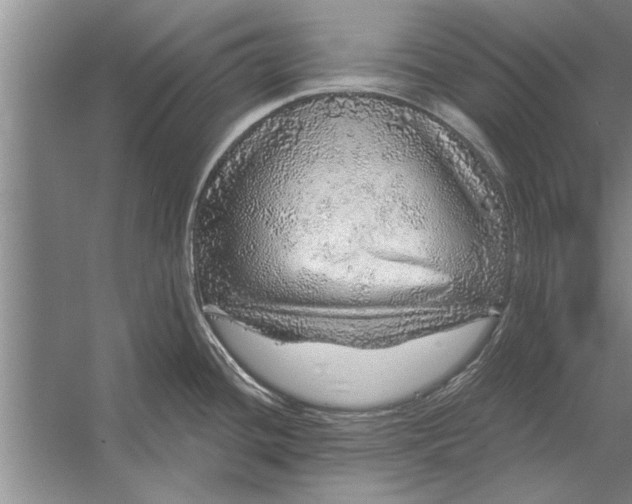 X0000056371436200509161843