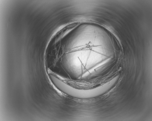 X0000056371437200509161843