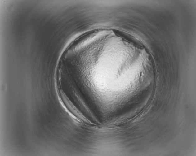 X0000056371440200509161843