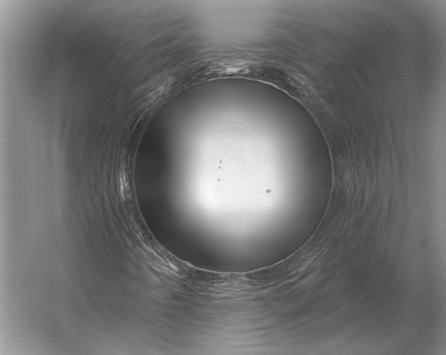 X0000056371442200509161842