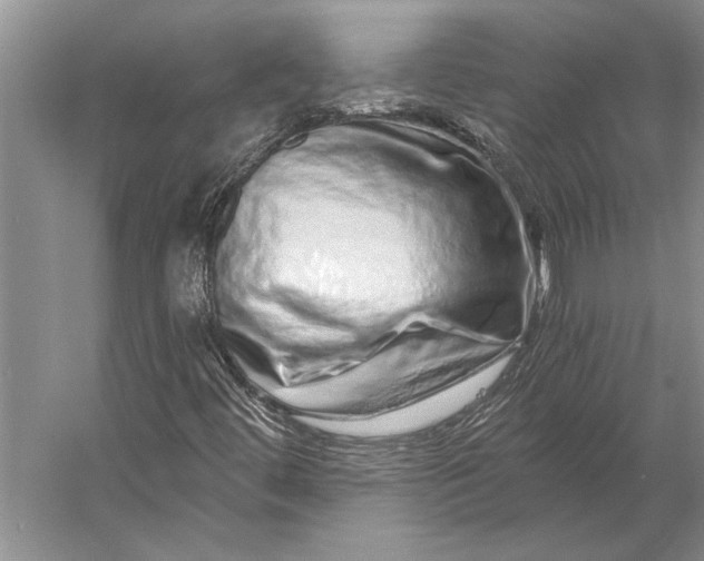 X0000056371444200509161842