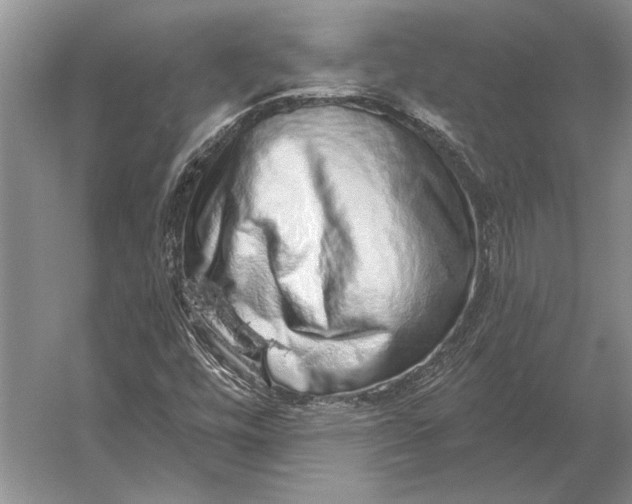 X0000056371448200509161842