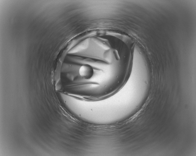 X0000056371449200509161842