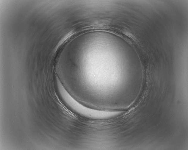 X0000056371450200509161842