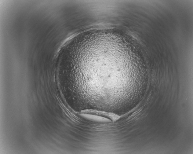 X0000056371451200509161842