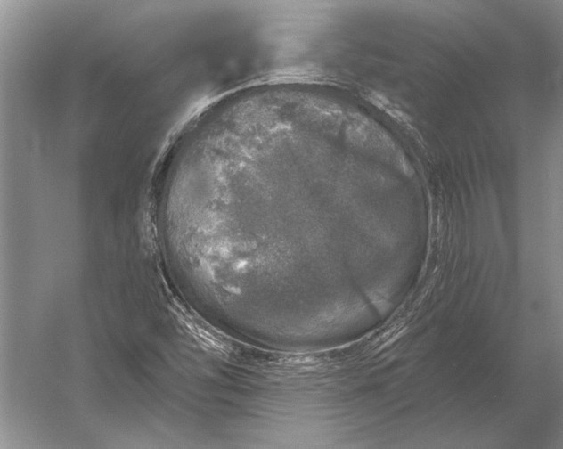 X0000056371454200509161842