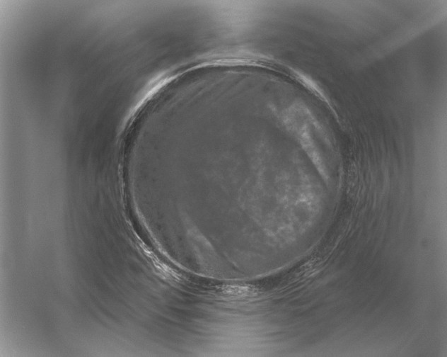 X0000056371456200509161842