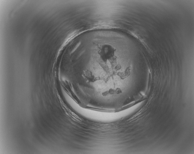 X0000056371459200509161842